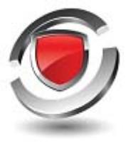 Shield Solutions - Investigations and Protective Services 