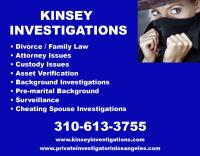 Kinsey Investigations, Private Investigator
